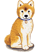 shiba01